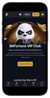 Bitfortune First-Week Guide Essential Tips to Get Started