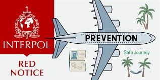 Understanding the Role of Interpol Lawyers in International Law 1328029098