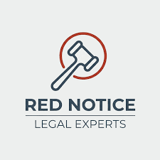 Understanding the Role of Interpol Lawyers in International Law 1328029098