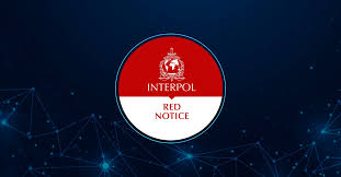 Understanding the Role of the Interpol Lawyers Team 1326371848 Understanding the Role of the Interpol Lawyers Team 1326371848
