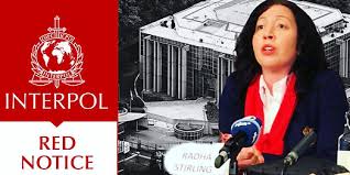 Understanding the Role of the Interpol Lawyers Team 1326371848 Understanding the Role of the Interpol Lawyers Team 1326371848